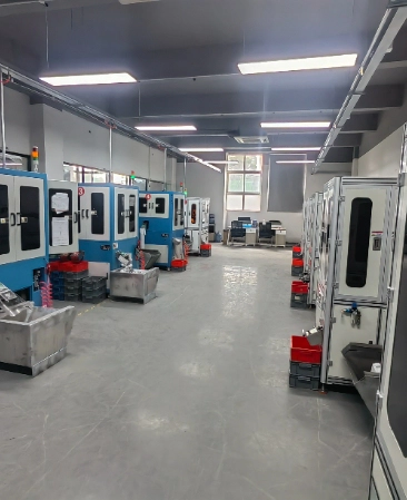 Optical Sorting-1_WH_366x449p